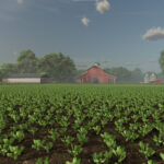 New Crop: Spinach (Preview)