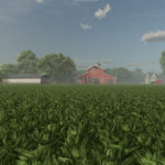 New Crop: Spinach (Preview)