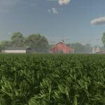 New Crop: Spinach (Preview)