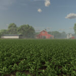 New Crop: Spinach (Preview)