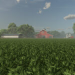 New Crop: Spinach (Preview)