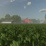 New Crop: Spinach (Preview)