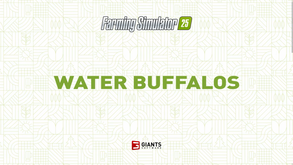 Everything we need to know about water buffalos in 25 seconds