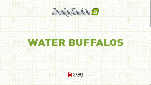 Everything we need to know about water buffalos in 25 seconds