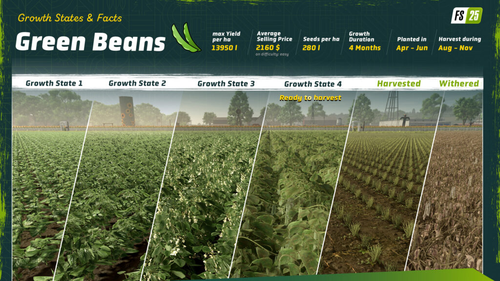 New Crop: Green Beans Preview