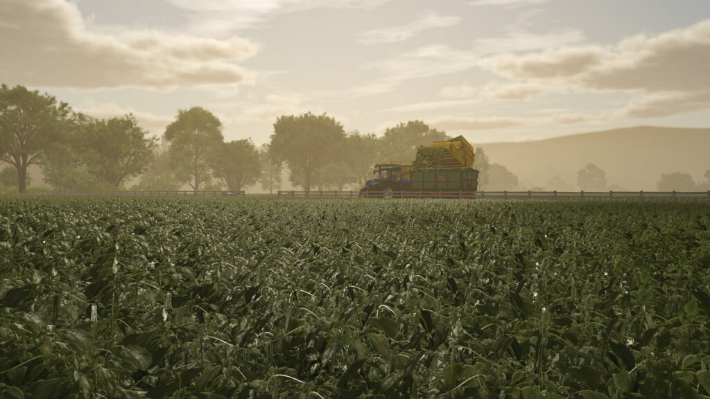 New Crop: Green Beans Preview