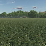 New Crop: Peas (Preview)