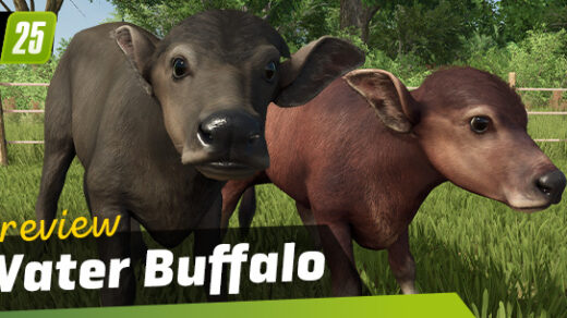 Introduction Of Water Buffalos