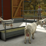 Introduction to goats