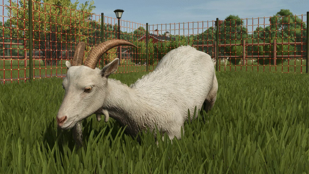 Introduction to goats