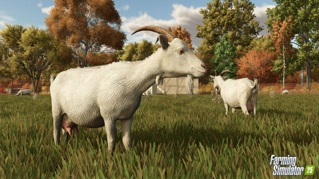 Introduction to goats