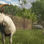 Introduction to goats