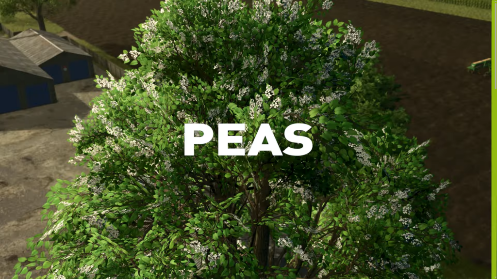 Peas in 25 Seconds video introduction