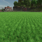 New Crop: Rice & Long Grain Rice (Preview)