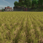 New Crop: Rice & Long Grain Rice (Preview)