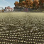 New Crop: Rice & Long Grain Rice (Preview)