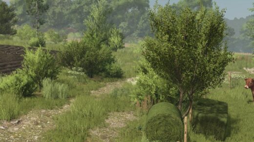 BUSH TEXTURE [DECOBUSH] V1.0