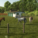 Baby Animals, Variety & Dynamic Pastures Preview