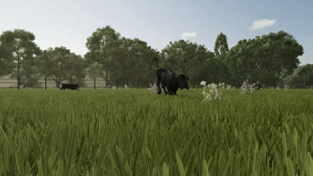 Baby Animals, Variety & Dynamic Pastures Preview