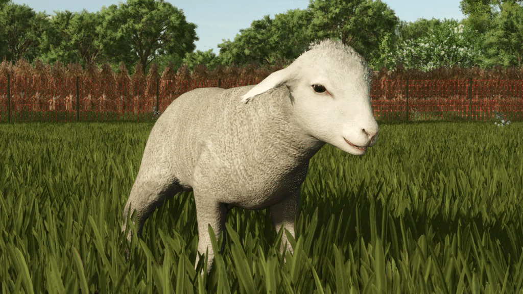 Baby Animals, Variety & Dynamic Pastures Preview