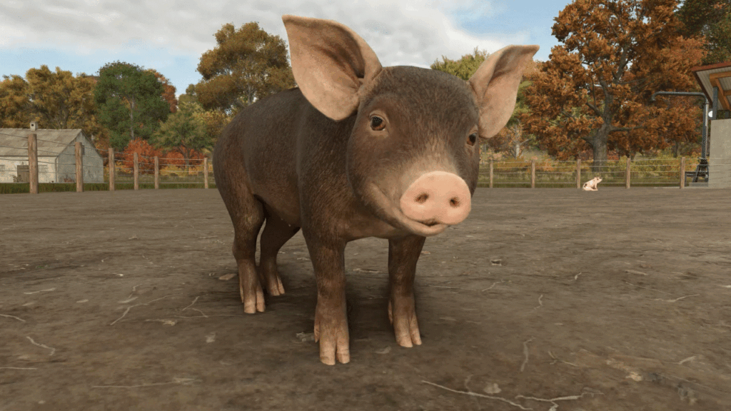 Baby Animals, Variety & Dynamic Pastures Preview