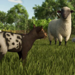 Baby Animals, Variety & Dynamic Pastures Preview