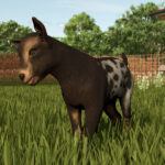 Baby Animals, Variety & Dynamic Pastures Preview