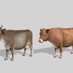 Baby Animals, Variety & Dynamic Pastures Preview