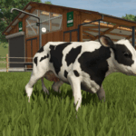 Baby Animals, Variety & Dynamic Pastures Preview