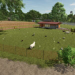 Baby Animals, Variety & Dynamic Pastures Preview