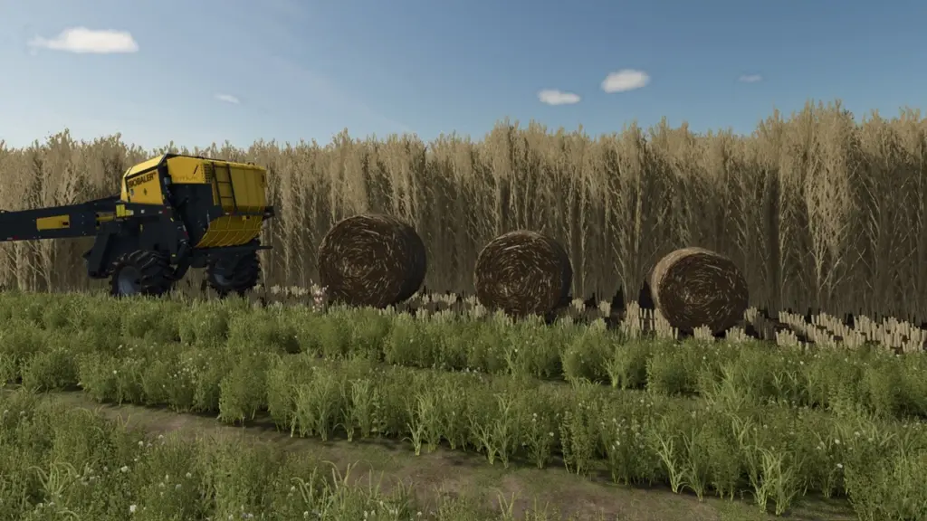 Bigger Biobales v1.0