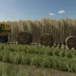 Bigger Biobales v1.0