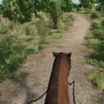 First Person Horse Riding Camera v1.0