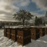 More Honey Pallet Place Options v1.06