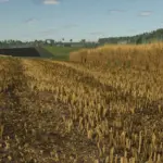 Stubble destruction v1.0