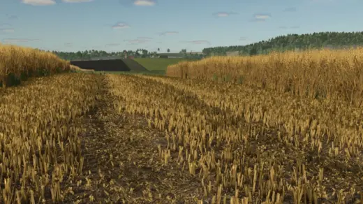 Stubble destruction v1.0