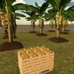 BANANA PLANTATION v1.0