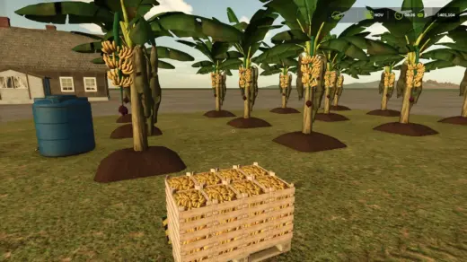 BANANA PLANTATION v1.0