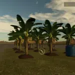 BANANA PLANTATION v1.03