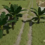 Banana Tree v1.0