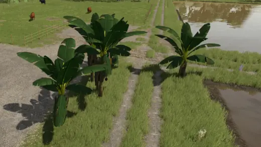 Banana Tree v1.0