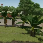 Banana Tree v1.02