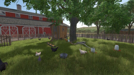 Chickens with fences