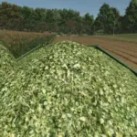 Improved Corn Texture v1.03