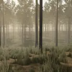 Pinewood Forest v1.0