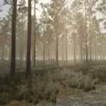 Pinewood Forest v1.03