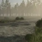 Pinewood Forest v1.04