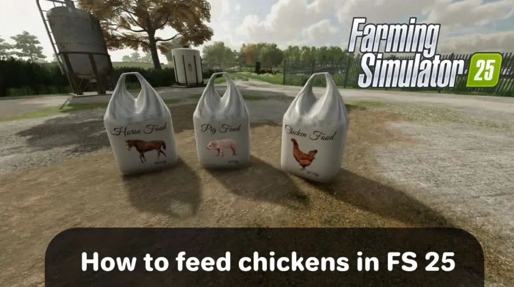 Chicken feed tutorial2