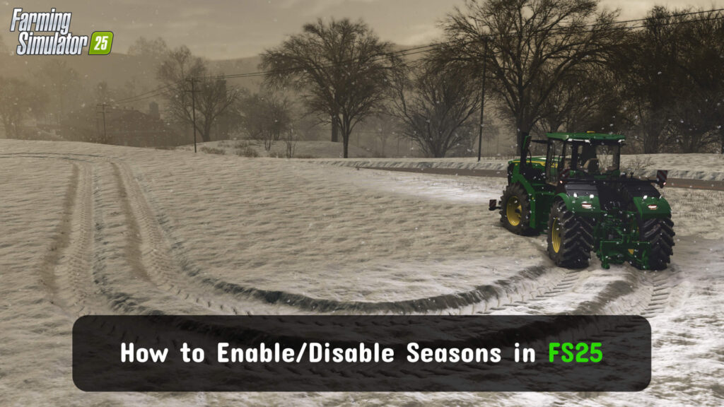 Disable Seasons in FS25