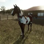 Happy Horse v1.0